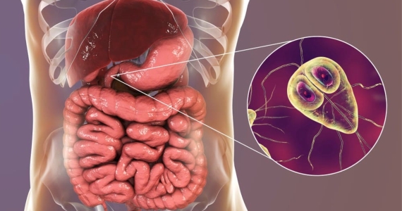 Chăm sóc cổ vai gáy